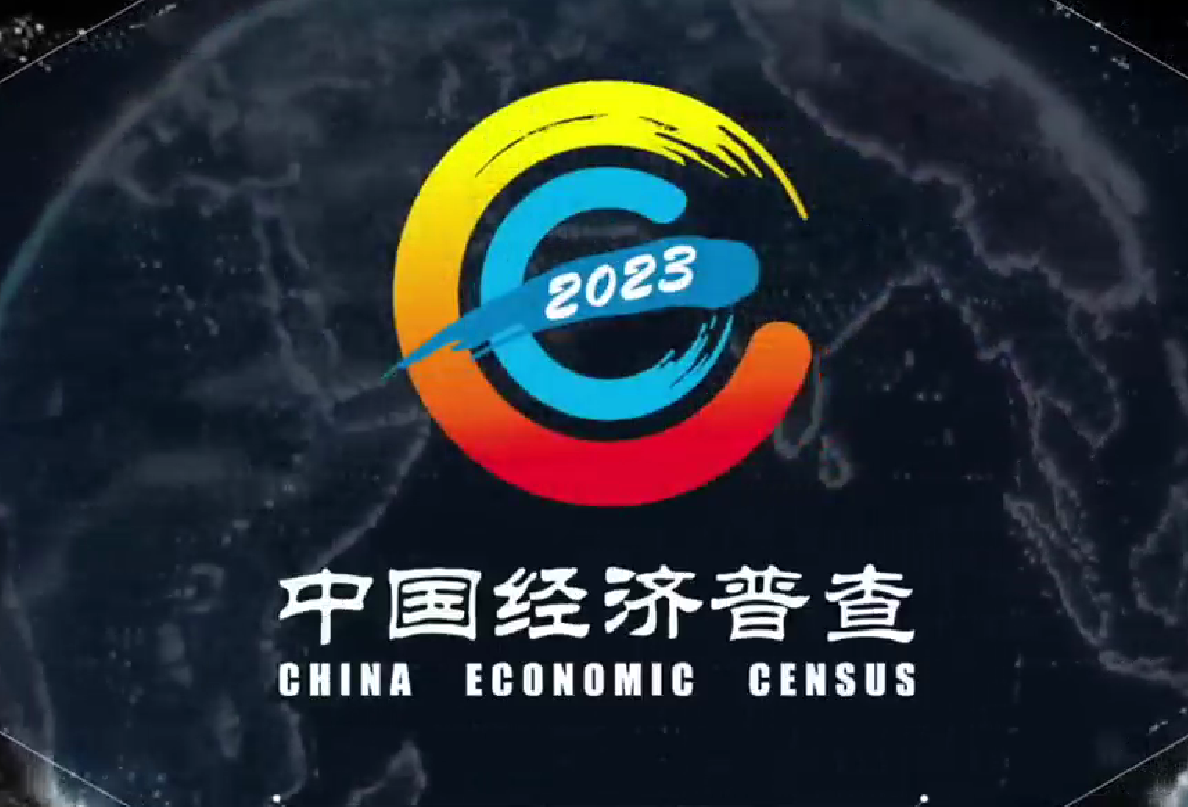 中国经济普查视频